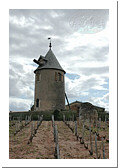 Moulin à vent de Romanèche Thorins