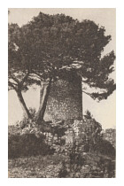 Carte postale du moulin  vent de Puyricard en Provence