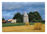 Carte postale moulin de la Bree Ile d'Oleron Charente maritime France