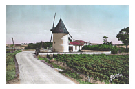 Carte postale moulin de la Bree Ile d'Oleron Charente maritime France