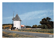 Carte postale moulin de la Bree Ile d'Oleron Charente maritime France
