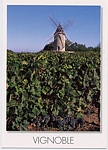 Carte postale du moulin  vent de Montagne en Gironde