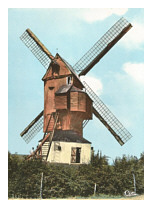 Moulin  vent du nord - Hondschoote