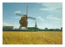 Moulin  vent du nord - Hondschoote