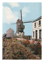 Le NoordMeulen - Moulin  vent sur pivot  Honsdchoote 