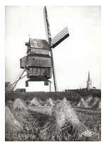 Le NoordMeulen - Moulin  vent sur pivot  Honsdchoote 