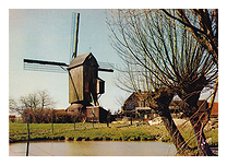 Carte postale moulin sur pivot Hofland Houtkerque Flandres Nord France