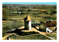 carte postale moulin  vent - Romaneche thorins - Saone et Loire - France
